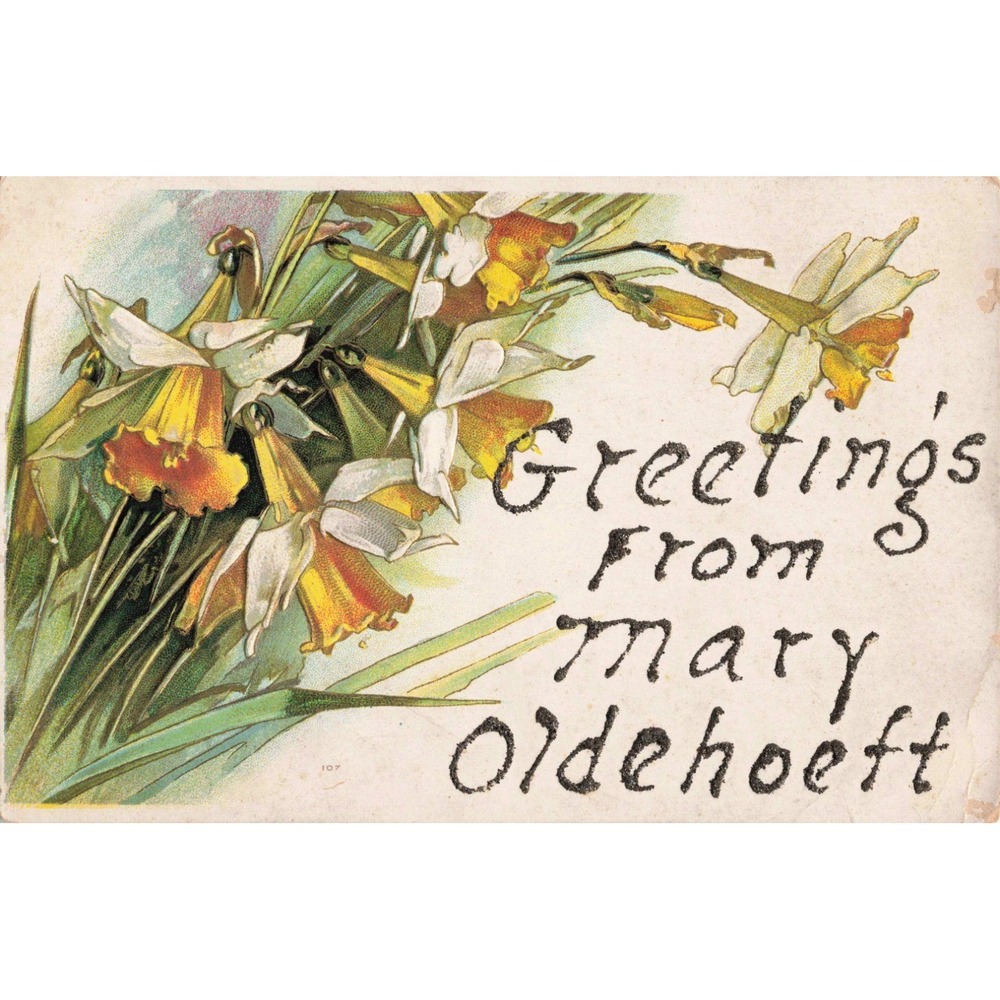 Vintage Embossed Daffodil Postcard Greetings From Mary Oldehoeft Nebraska VG - Picture 1 of 2